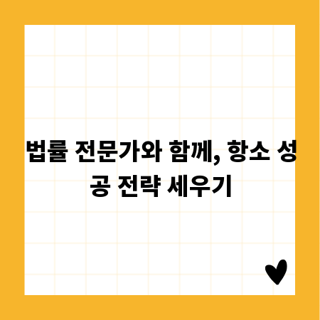 법률 전문가와 함께, 항소 성공 전략 세우기