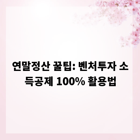 연말정산 꿀팁: 벤처투자 소득공제 100% 활용법