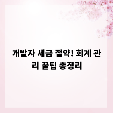 개발자 세금 절약! 회계 관리 꿀팁 총정리