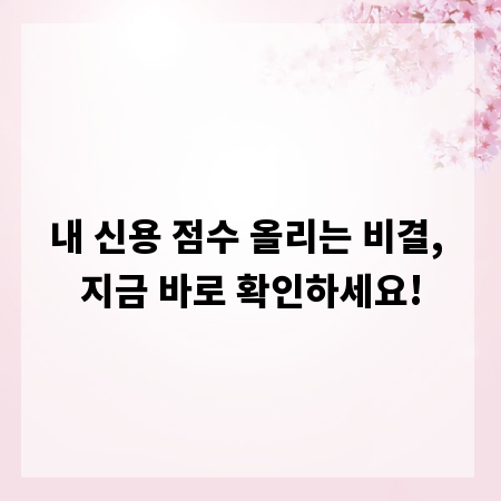 내 신용 점수 올리는 비결, 지금 바로 확인하세요!