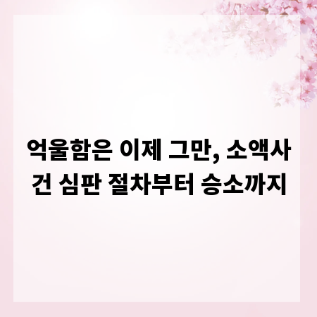 억울함은 이제 그만, 소액사건 심판 절차부터 승소까지