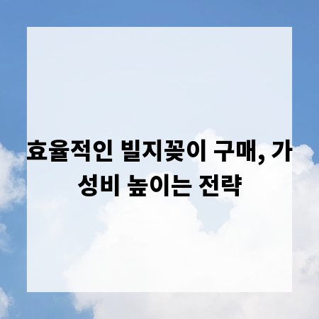 효율적인 빌지꽂이 구매, 가성비 높이는 전략