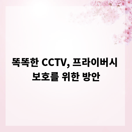 똑똑한 CCTV, 프라이버시 보호를 위한 방안