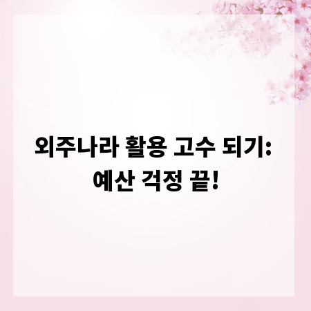 외주나라 활용 고수 되기: 예산 걱정 끝!