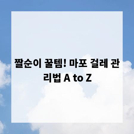 짤순이 꿀템! 마포 걸레 관리법 A to Z