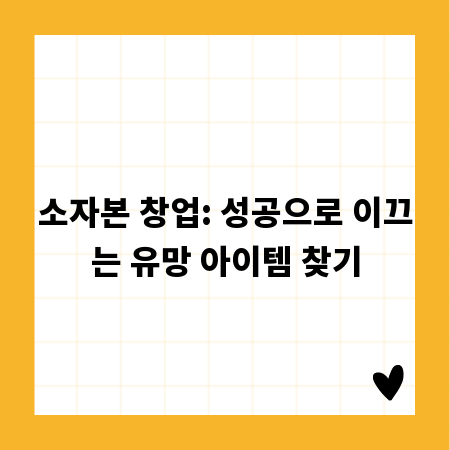 소자본 창업: 성공으로 이끄는 유망 아이템 찾기