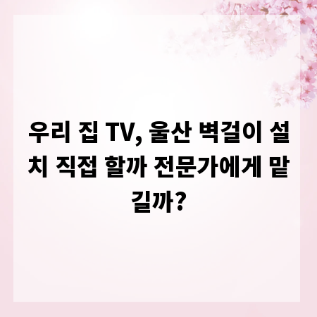 우리 집 TV, 울산 벽걸이 설치 직접 할까 전문가에게 맡길까?