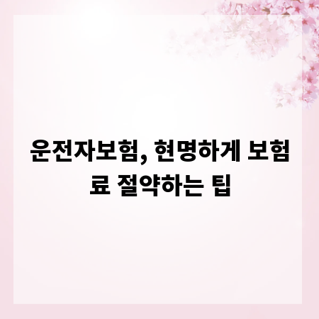 운전자보험, 현명하게 보험료 절약하는 팁