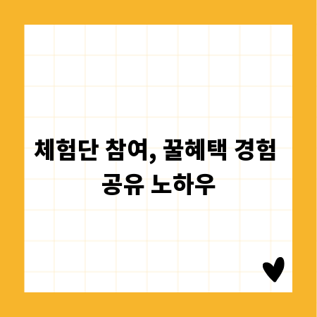 체험단 참여, 꿀혜택 경험 공유 노하우
