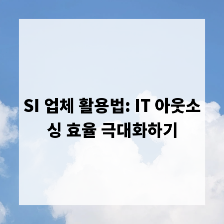 SI 업체 활용법: IT 아웃소싱 효율 극대화하기