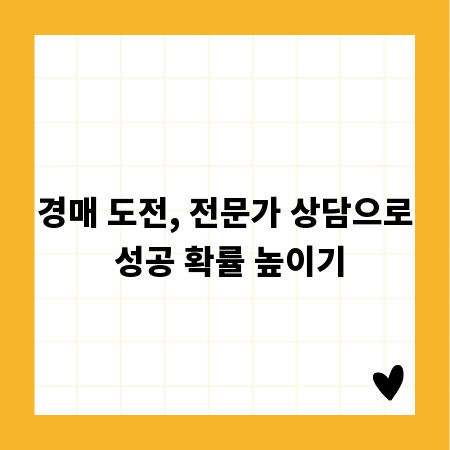 경매 도전, 전문가 상담으로 성공 확률 높이기