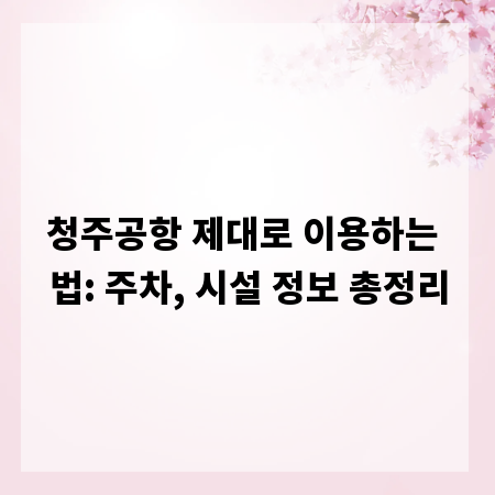 청주공항 제대로 이용하는 법: 주차, 시설 정보 총정리