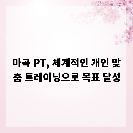마곡 PT, 체계적인 개인 맞춤 트레이닝으로 목표 달성
