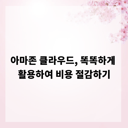 아마존 클라우드, 똑똑하게 활용하여 비용 절감하기