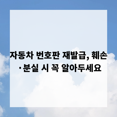 자동차 번호판 재발급, 훼손·분실 시 꼭 알아두세요