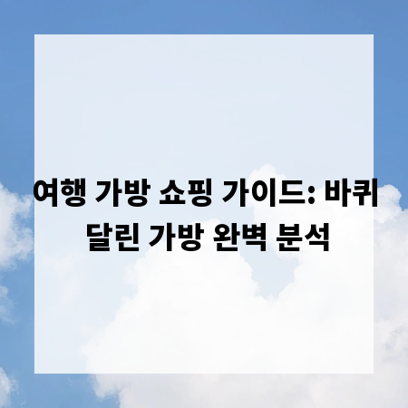 여행 가방 쇼핑 가이드: 바퀴 달린 가방 완벽 분석