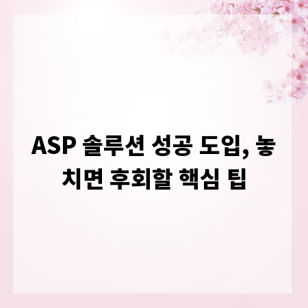 ASP 솔루션 성공 도입, 놓치면 후회할 핵심 팁