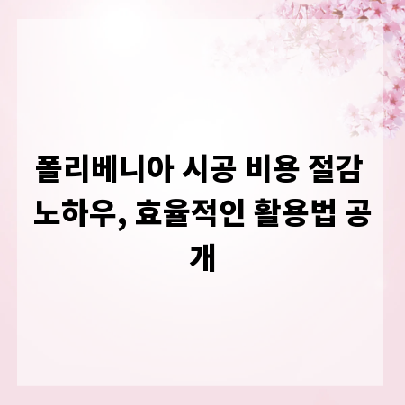 폴리베니아 시공 비용 절감 노하우, 효율적인 활용법 공개