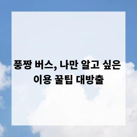 풍짱 버스, 나만 알고 싶은 이용 꿀팁 대방출