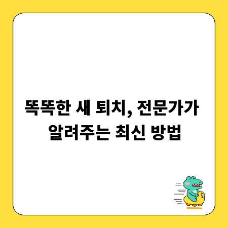 똑똑한 새 퇴치, 전문가가 알려주는 최신 방법
