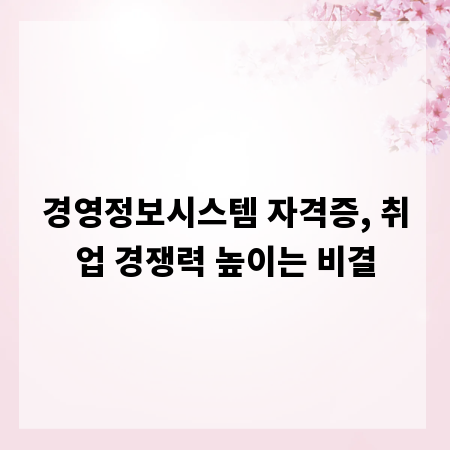 경영정보시스템 자격증, 취업 경쟁력 높이는 비결