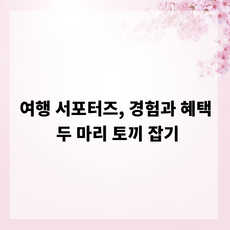 여행 서포터즈, 경험과 혜택 두 마리 토끼 잡기