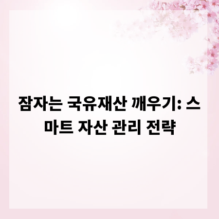 잠자는 국유재산 깨우기: 스마트 자산 관리 전략