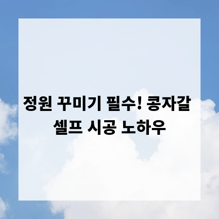 정원 꾸미기 필수! 콩자갈 셀프 시공 노하우