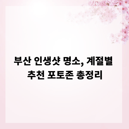 부산 인생샷 명소, 계절별 추천 포토존 총정리