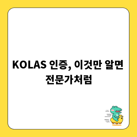 KOLAS 인증, 이것만 알면 전문가처럼