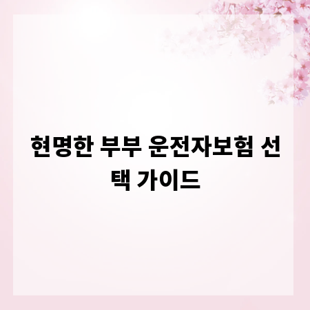 현명한 부부 운전자보험 선택 가이드