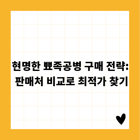 현명한 뾰족공병 구매 전략: 판매처 비교로 최적가 찾기