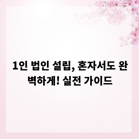1인 법인 설립, 혼자서도 완벽하게! 실전 가이드