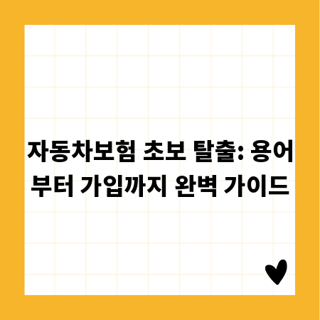 자동차보험 초보 탈출: 용어부터 가입까지 완벽 가이드