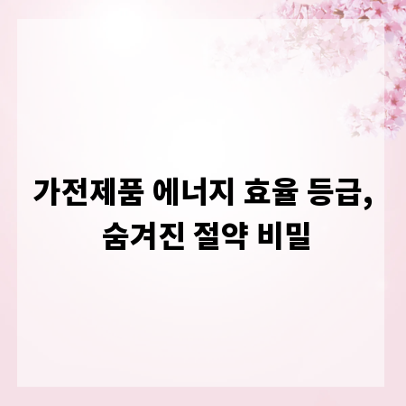 가전제품 에너지 효율 등급, 숨겨진 절약 비밀
