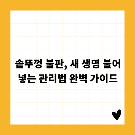 솥뚜껑 불판, 새 생명 불어넣는 관리법 완벽 가이드