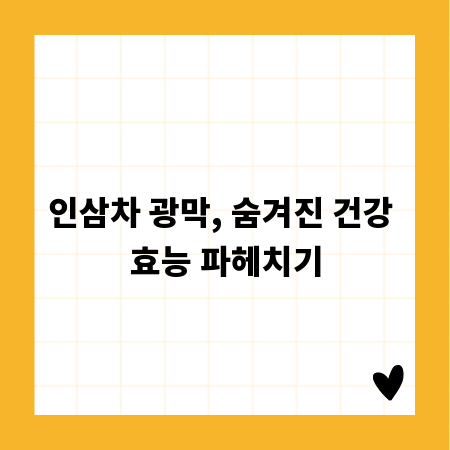 인삼차 광막, 숨겨진 건강 효능 파헤치기