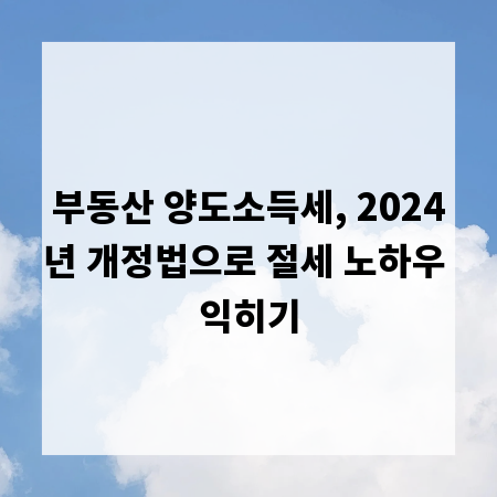 부동산 양도소득세, 2024년 개정법으로 절세 노하우 익히기