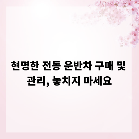현명한 전동 운반차 구매 및 관리, 놓치지 마세요