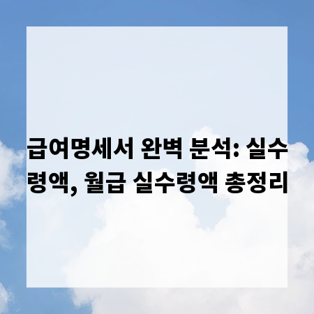 급여명세서 완벽 분석: 실수령액, 월급 실수령액 총정리