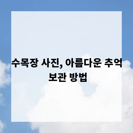 수목장 사진, 아름다운 추억 보관 방법