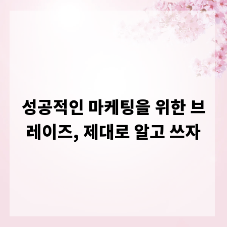 성공적인 마케팅을 위한 브레이즈, 제대로 알고 쓰자