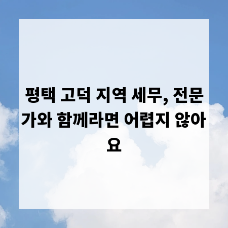 평택 고덕 지역 세무, 전문가와 함께라면 어렵지 않아요