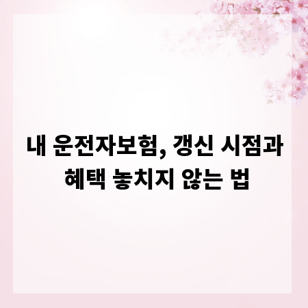 내 운전자보험, 갱신 시점과 혜택 놓치지 않는 법