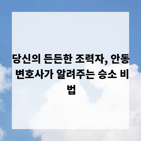 당신의 든든한 조력자, 안동 변호사가 알려주는 승소 비법