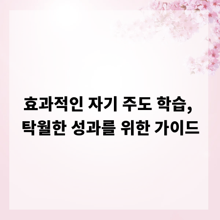 효과적인 자기 주도 학습, 탁월한 성과를 위한 가이드