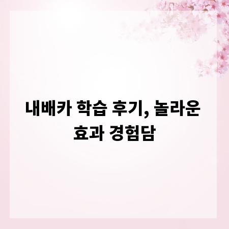 내배카 학습 후기, 놀라운 효과 경험담