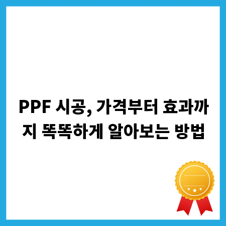 PPF 시공, 가격부터 효과까지 똑똑하게 알아보는 방법