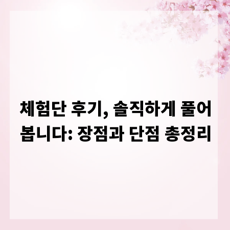 체험단 후기, 솔직하게 풀어봅니다: 장점과 단점 총정리