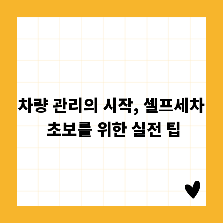 차량 관리의 시작, 셀프세차 초보를 위한 실전 팁